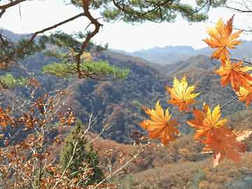 北京天气气温走势(北京天气 温度)